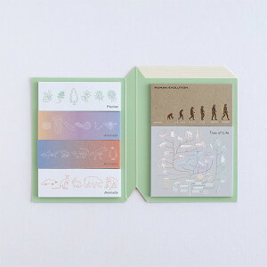 t ӂ XeBbL[ubN O[tbV GreenFlash STUDY HOLIC iw 6×e20 ST319 n DNA