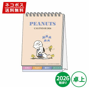 J_[ 2026N TX^[  fXNJ_[ bZ[Wt Xk[s[Be[W S8521670