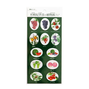 V[gV[ SAIEN J~C\Y IF̐At[NV[g ʕV[Y J-312 {^jJ