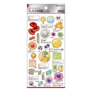 V[gV[ J~IWp PLUS MART vX}[g l̐}ӃV[ זE 228109 1V[g