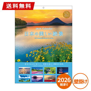 J_[ Ǌ| 2026N APJ A[gvgWp {̔i(qmL̍t) 1000136899 i ߘa8N