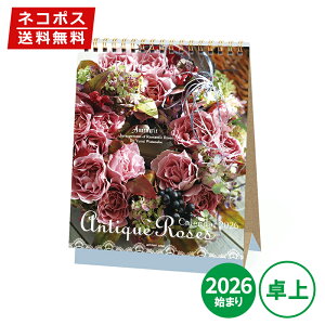 J_[  2026N APJ A[gvgWp AeB[N[Y() 1000136908  t[ [Y KN ߘa8N