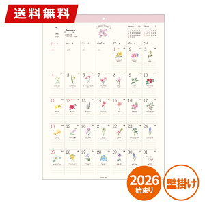 J_[ Ǌ| 2026N APJ A[gvgWp 365ԂƂ 1000136915  t[ a Ԍt ߘa8N