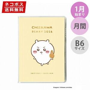 蒠 2026N 1n܂ B6 APJ A[gvgWp }X[ _CA[ S[hI[  Jjܓg 1000137364 R~bN XPW[