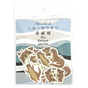 t[NV[ V[ VWJgE Shinzi Katoh oiiy[p[t[NV[ Ŋ뜜 Ŏ jzJE\ bp-fs-10016 32