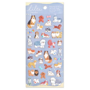 V[gV[ }ChEFCu MIND WAVE cXebJ[ hbO 82585 ̃V[ ՂV[  Ck