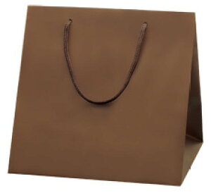 HEIKO  񂰎 uCgobO C0 `RuE(MT) 300×}`280×300mm 10 ł Ɩp bsO VW}R[h006459404