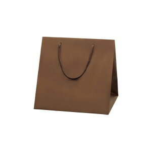 HEIKO  񂰎 uCgobO C2 `RuE(MT) 230×}`200×230mm 10 ł Ɩp bsO VW}R[h006459602