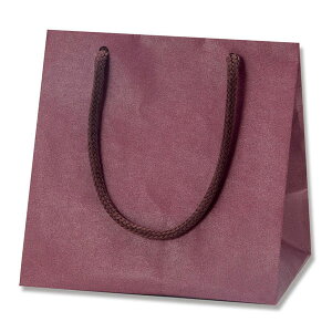 HEIKO  񂰎 J[`[obO MW GW 160×}`110×160mm 10 Ɩp bsO VW}R[h005330003