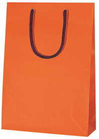 紙袋 プレゼント用 光沢 A4対応サイズ 手提げ HEIKO シモジマ ブライトバッグ SWT Dオレンジ(10枚入) ラッピング