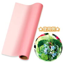 楽天市場】シモジマ レインボウラップの通販