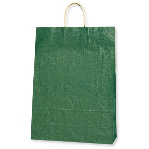 HEIKO  񂰎 25`[obO KA N O[C 380×}`150×500mm 50  Ɩp bsO VW}R[h003283002