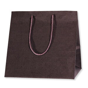 HEIKO  񂰎 J[AWobO M Œ 350×}`280×350mm 10 ł Ɩp bsO VW}R[h006441021