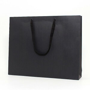 HEIKO  񂰎 t@bVobO L  520×}`100×420mm 10 ubN Ɩp bsO VW}R[h006489300