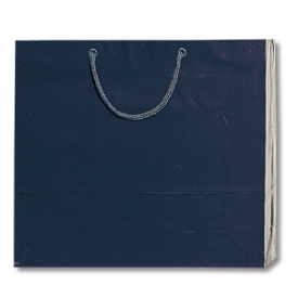 紙袋 プレゼント用 光沢 手提げ HEIKO シモジマ ブライトバッグ GM 紫紺（シコン）(10枚入) ラッピング