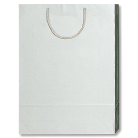 紙袋 プレゼント用 光沢 手提げ HEIKO シモジマ ブライトバッグ G2 銀(シルバー）（10枚入） ラッピング