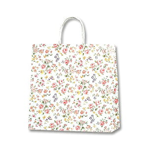 HEIKO  񂰎 25`[obO 3 }lXN 320×}`115×310mm 50 Ɩp bsO VW}R[h003256100