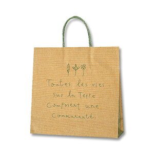 HEIKO  񂰎 25`[obO 3 ie[ G 320×}`115×310mm 50  Ɩp bsO VW}R[h003253101