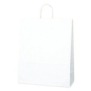 HEIKO  񂰎 25`[obO KA Nn 380×}`150×500mm 50 zCg Ɩp bsO VW}R[h003280411