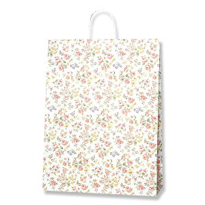 HEIKO  񂰎 25`[obO KA }lXN 380×}`150×500mm 50 Ɩp bsO VW}R[h003282600