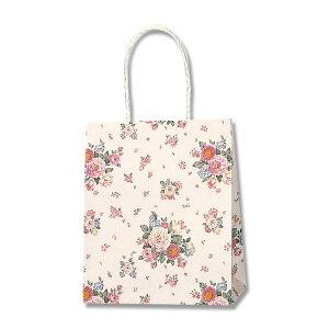 HEIKO  񂰎 PX[XobO 22-12 [Yu[P 220×}`120×265mm 25 Ɩp bsO VW}R[h003154207