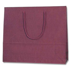 HEIKO  񂰎 J[`[obO 3 GW 330×}`100×290mm 10 Ɩp bsO VW}R[h005320113