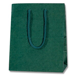 HEIKO  񂰎 J[`[obO 20-12 O[ 200×}`120×250mm 10  Ɩp bsO VW}R[h005330101