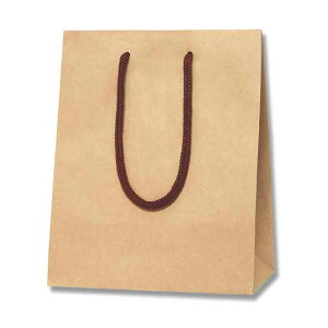 HEIKO  񂰎 J[`[obO 20-12 Ntg 200×}`120×250mm 10 uE Ɩp bsO VW}R[h005330106