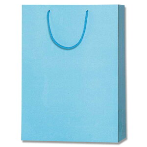 HEIKO  񂰎 uCgobO G2 ATM 330×}`100×450mm 10 F Ɩp bsO VW}R[h006138010