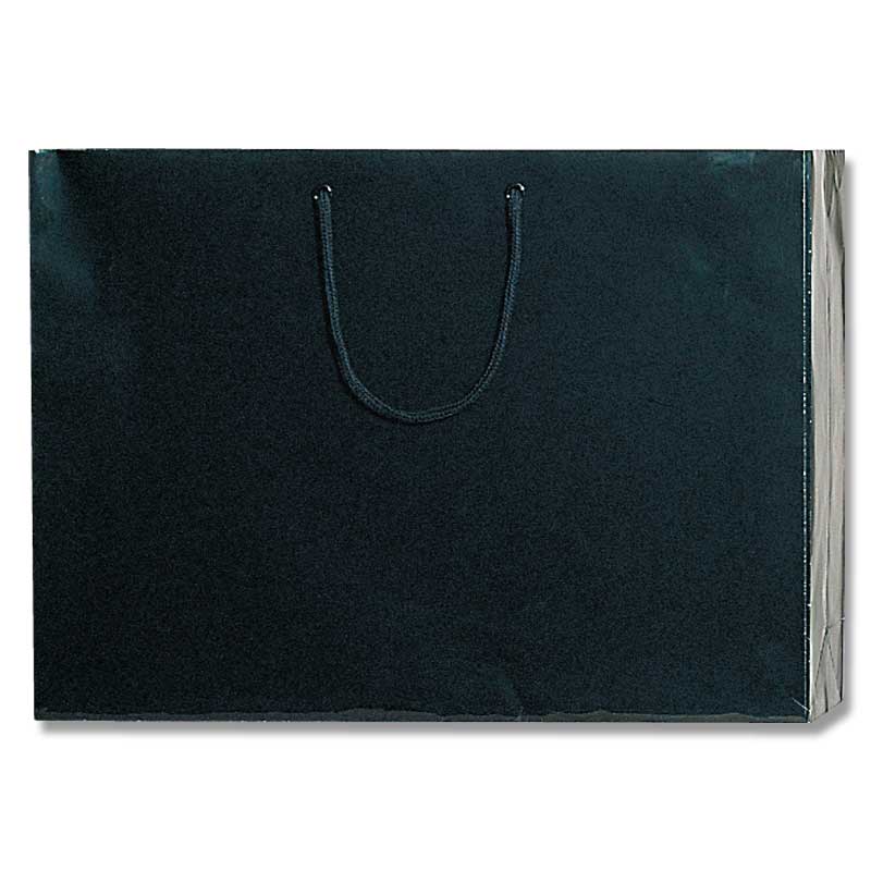 紙袋 手提げ紙袋 ブライトバッグ コート紙１６０ｇ 通販 ブライト Ｙ２ 10枚 HEIKO 手提げ ラッピング アウトレットセール 特集 黒 ＰＢ－Ｙ２ シモジマ