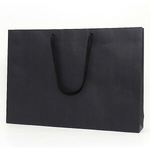 HEIKO  񂰎 t@bVobO LL  600×}`100×420mm 10 ubN Ɩp bsO VW}R[h006489301