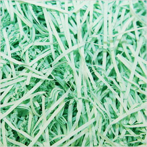 ɏՍ y[p[pbL pbL Ɩp1kg JDATM