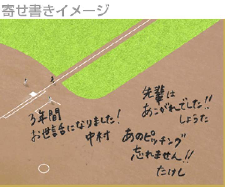 楽天市場】midori ミドリ カラー色紙 二つ折り 野球場柄 33166
