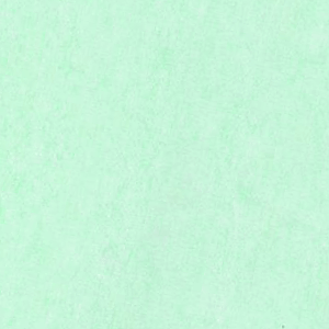 【ネコポス対応商品】ふんわりラッピングやインナーラップに！ 薄葉紙 HEIKO シモジマ カラー薄葉紙 ライトグリーン（10枚入り）