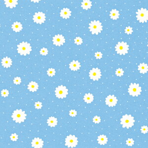 ��� HEIKO �V���W�} ���b�s���O�y�[�p�[ ���� �v���G�[�� B �u���[