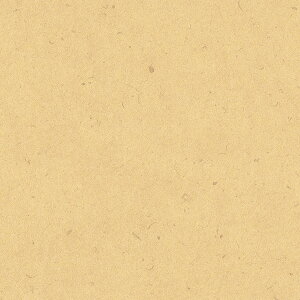  HEIKO VW} bsOy[p[ S i`i100j