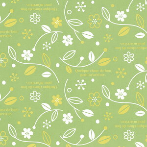 ��� HEIKO �V���W�} �M�t�g���b�s���O�y�[�p�[ �G�X�y�����XLG