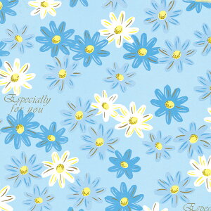 ��� HEIKO �V���W�} �M�t�g���b�s���O�y�[�p�[ �t�����[�x�b�g B