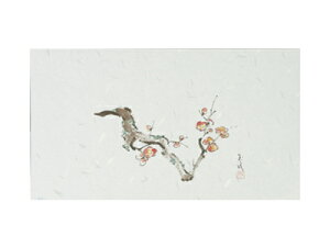 y | ̂ ~ No2  z |  Mtg v[g 蕨 Օi  킢 Ɩp