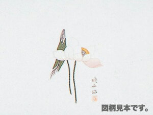 y | ̂   151  z |  Mtg v[g 蕨 Օi  킢 Ɩp