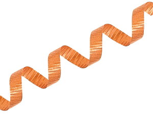 { bsO y J[O { 09 IW z bsO bsO{ bsOpi  MtgbsO َq v[g  킢 Ɩp