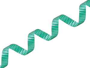 { bsO y J[O { 07 yp[~g z bsO bsO{ bsOpi  MtgbsO َq v[g  킢 Ɩp