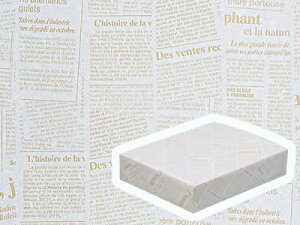 y @gNAc j[X^[100@˓@z bsOpi bsO  MtgbsO v[g 蕨 Օi  킢 Ɩp