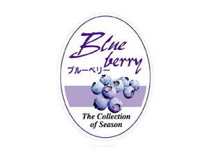 y@t[o[V[@u[x[(ȉ~)@z bsOV[ bsO V[ XebJ[ bsOpi MtgbsO Mtg v[g 蕨 Օi  킢 