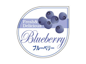 y|Xgz֑Ή zy@t[o[V[ B u[x[@z bsOV[ bsO V[ XebJ[ bsOpi MtgbsO Mtg v[g 蕨 