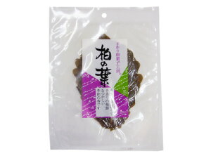 y|Xgz֑Ή zaَqH[ ̗ti^pbNj8