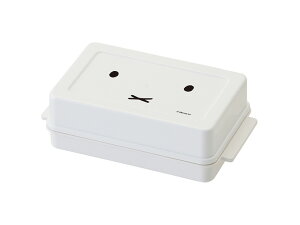 ʃJbeBOKChto^[P[X ~btB[