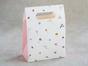 cotta Mtg O[Xt[ ()