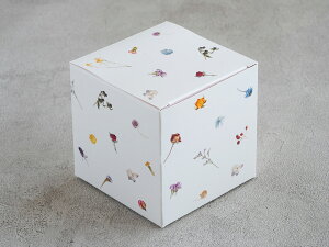 cotta Mtg O[Xt[ (L[u)