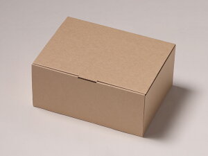 yʔ̔zUNIGRNtgJbgP[L 4L 1